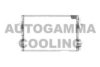 AUTOGAMMA 101841 Condenser, air conditioning